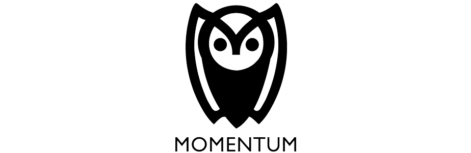 Momentum