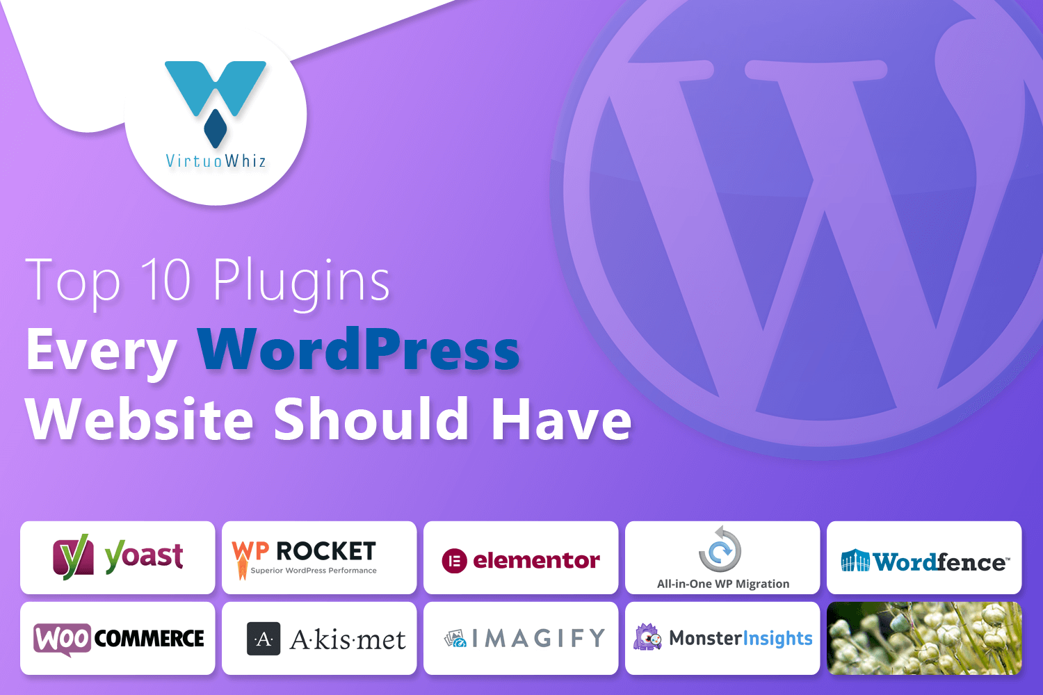 Top 10 Plugins Every WordPress Website Should Have
